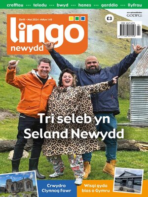 cover image of Lingo Newydd